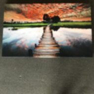 Wall Art - 28" x 43" - Tropical Boardwalk