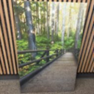 AG Poly Max Print – 1″ x 28″ x 43″ – Forest Boardwalk